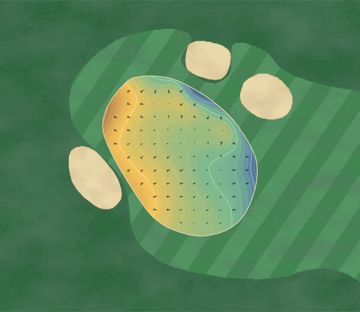 Green contour map of Coxmoor in Sutton-in-Ashfield, England — 218 elevation contours at a 8-centimeter interval with fall-line arrows, traced from 1-meter lidar