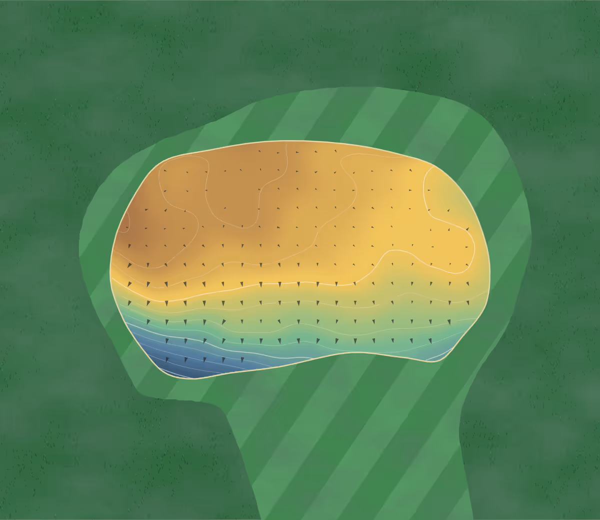 Green contour map of Coyote Rock in Williams Lake, Canada: 64 elevation contours at a 8-centimeter interval with fall-line arrows, traced from 1-meter lidar