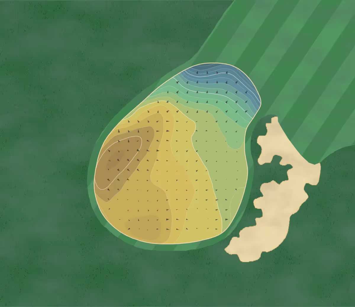 Green contour map of Craigtoun Course in St. Andrews, Scotland — 196 elevation contours at a 8-centimeter interval with fall-line arrows, traced from 1-meter lidar