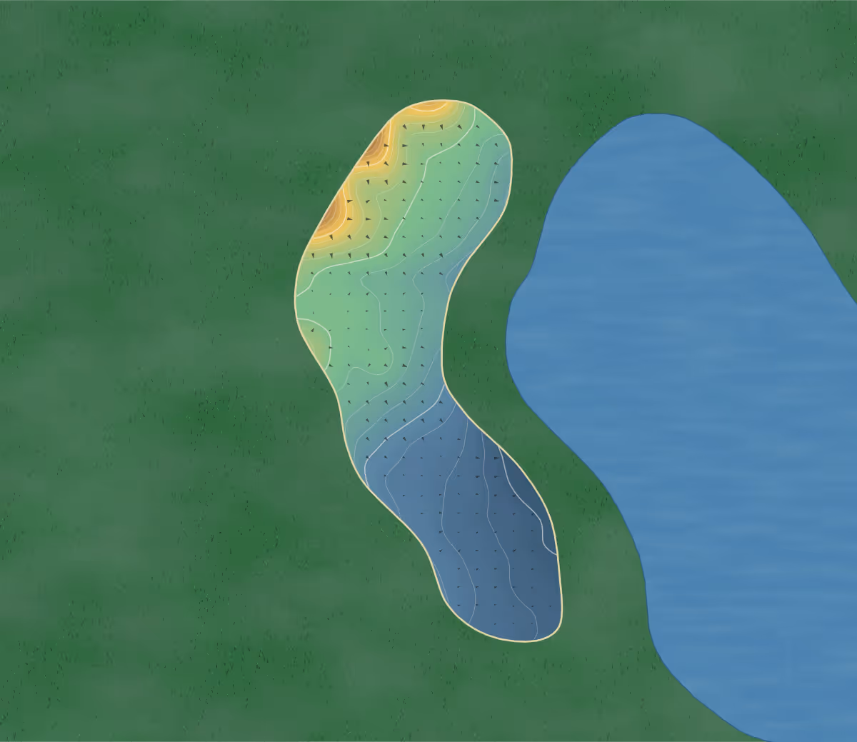 Green contour map of Cranberry in Collingwood, Canada — 191 elevation contours at a 8-centimeter interval with fall-line arrows, traced from 1-meter lidar