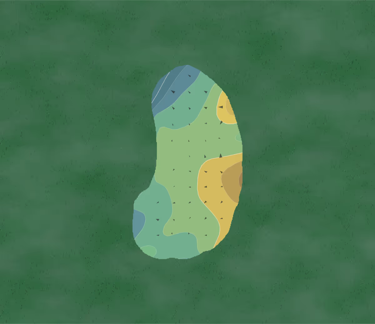 Green contour map of Crane Lakes in Port Orange, Florida — 7 elevation contours at a 3-inch interval with fall-line arrows, traced from 1-meter lidar