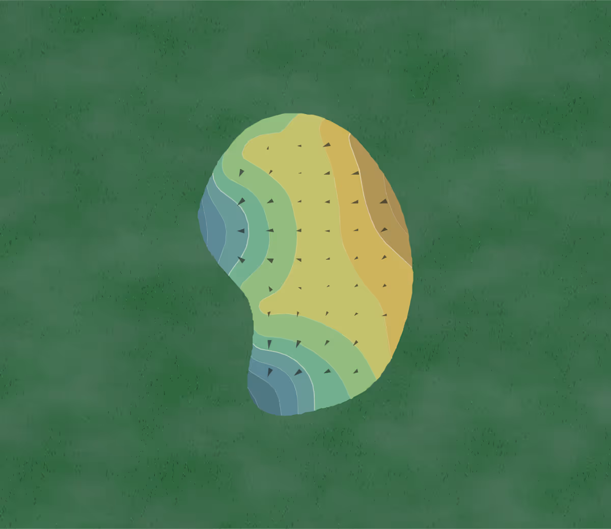 Green contour map of Crane's Bend in Kissimmee, Florida — 67 elevation contours at a 3-inch interval with fall-line arrows, traced from 1-meter lidar