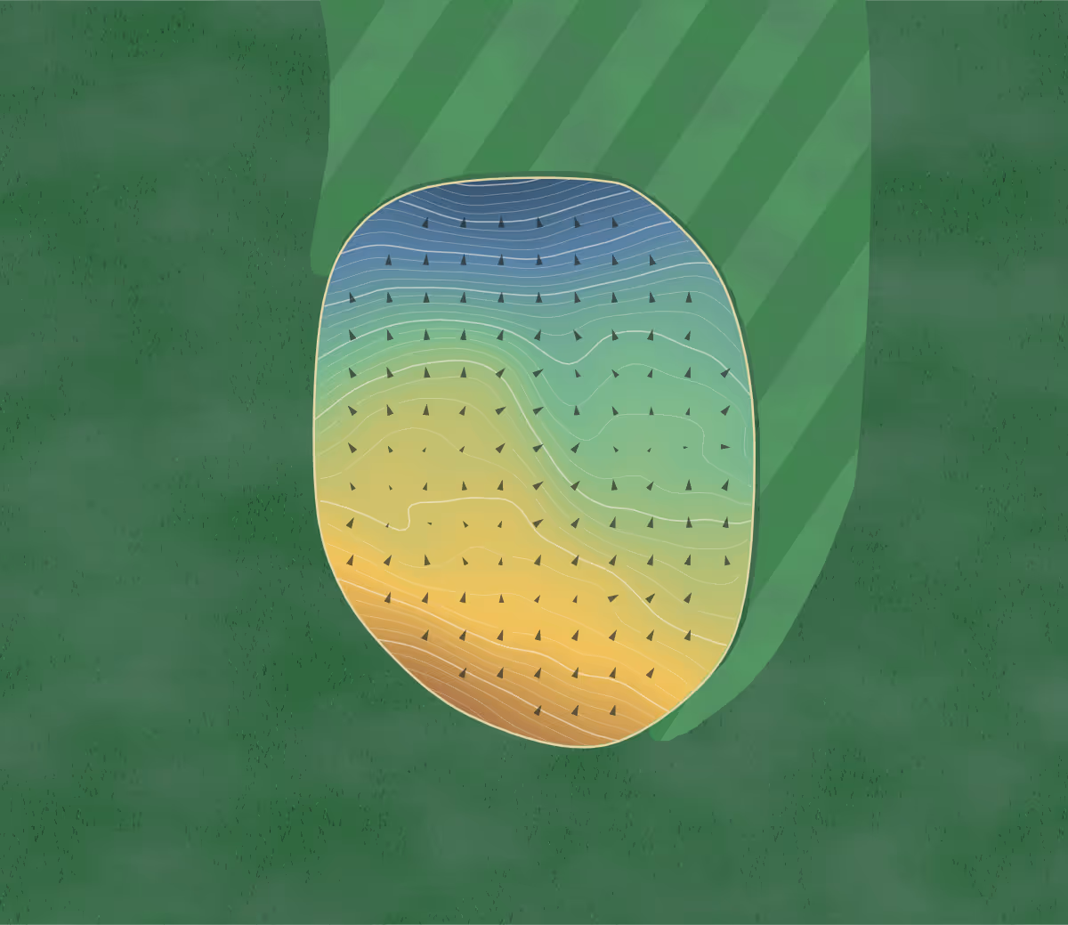 Green contour map of Crestmont in West Orange, New Jersey: 370 elevation contours at a 3-inch interval with fall-line arrows, traced from 1-meter lidar