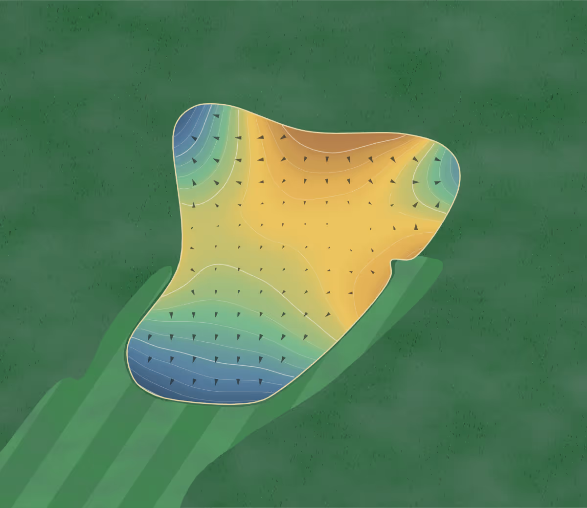 Green contour map of Crooked Creek in Osceola, Nebraska: 113 elevation contours at a 3-inch interval with fall-line arrows, traced from 1-meter lidar