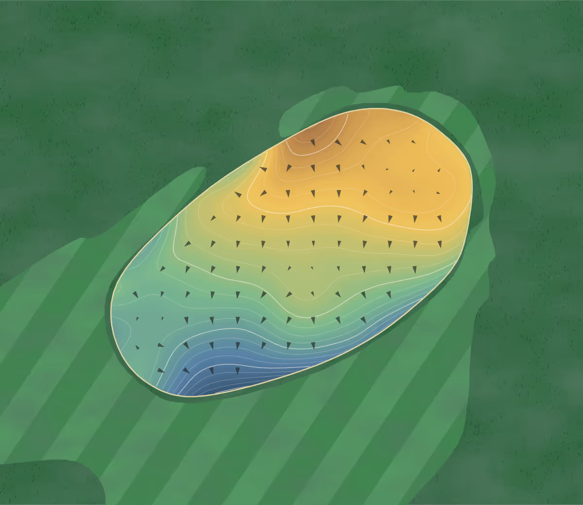 Green contour map of Cross Creek in Seneca, South Carolina: 252 elevation contours at a 3-inch interval with fall-line arrows, traced from 1-meter lidar