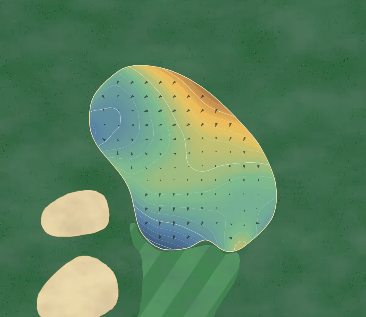 Green contour map of Cross Creek in Cambridge, Nebraska: 204 elevation contours at a 3-inch interval with fall-line arrows, traced from 1-meter lidar