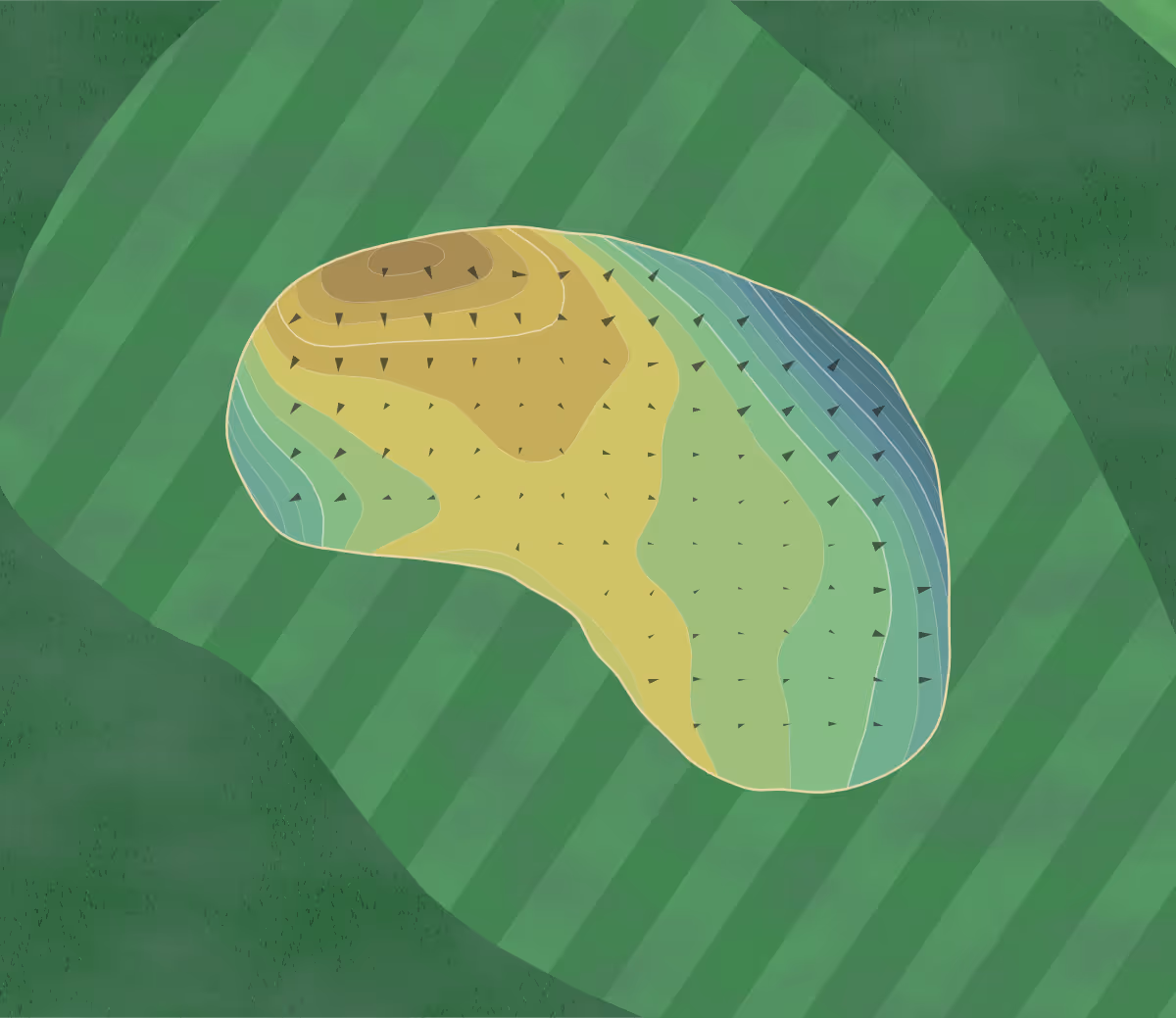 Green contour map of Crow River in Hutchinson, Minnesota — 177 elevation contours at a 3-inch interval with fall-line arrows, traced from 1-meter lidar