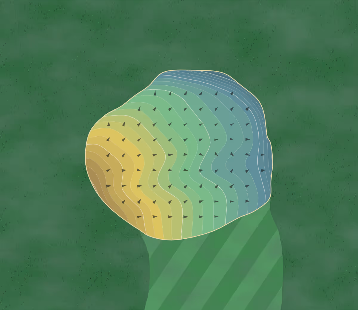 Green contour map of Crown Hill in Williamsport, Ohio — 180 elevation contours at a 3-inch interval with fall-line arrows, traced from 1-meter lidar