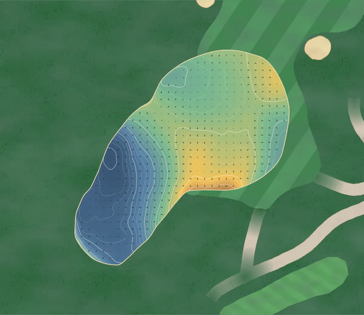 Green contour map of Cruden Bay in Peterhead, Scotland — 186 elevation contours at a 8-centimeter interval with fall-line arrows, traced from 1-meter lidar
