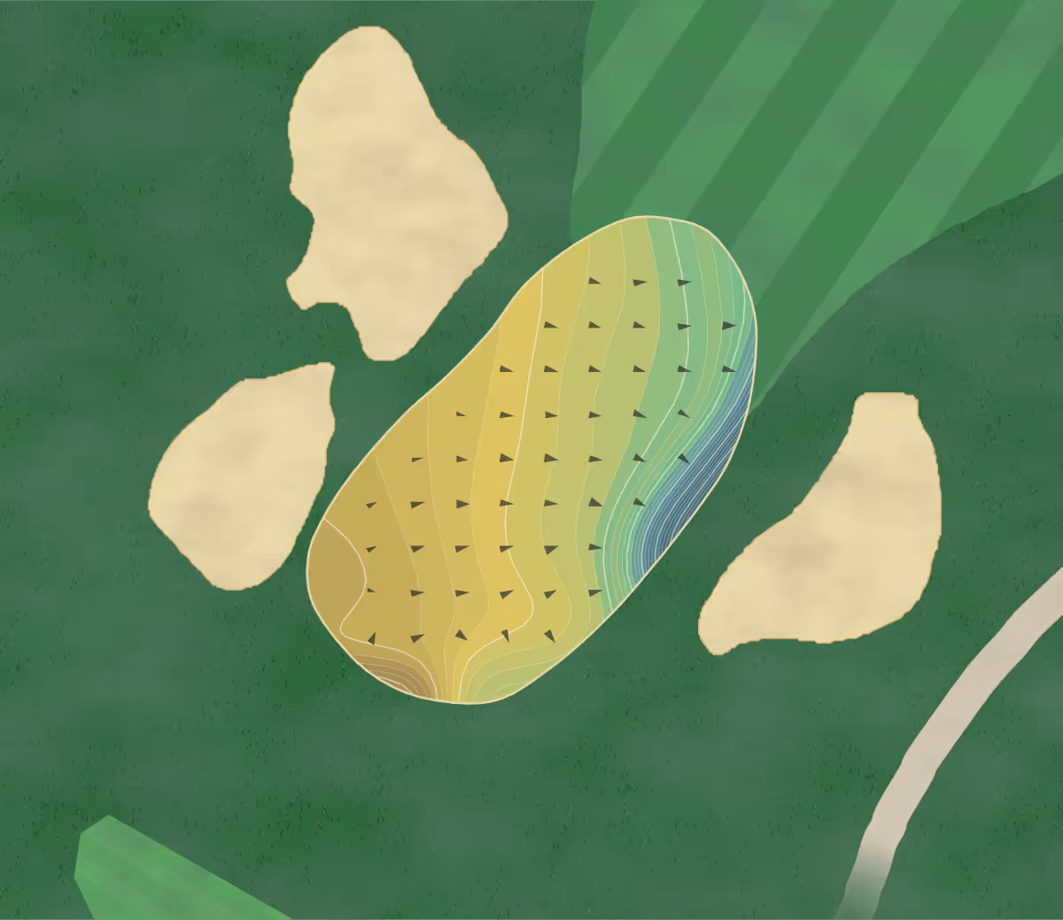 Green contour map of Crystal Downs in Frankfort, Michigan — 336 elevation contours at a 3-inch interval with fall-line arrows, traced from 1-meter lidar