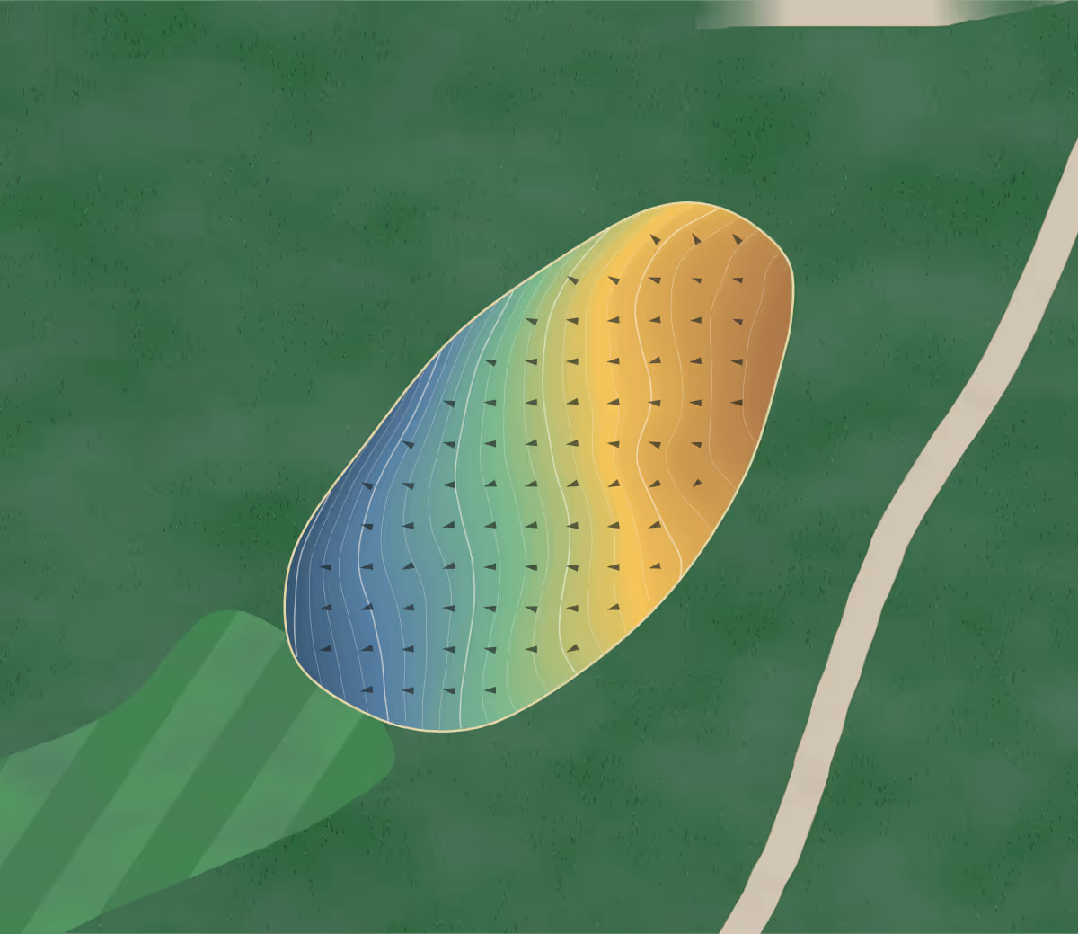 Green contour map of Crystal Springs in Seymour, Wisconsin — 201 elevation contours at a 3-inch interval with fall-line arrows, traced from 1-meter lidar
