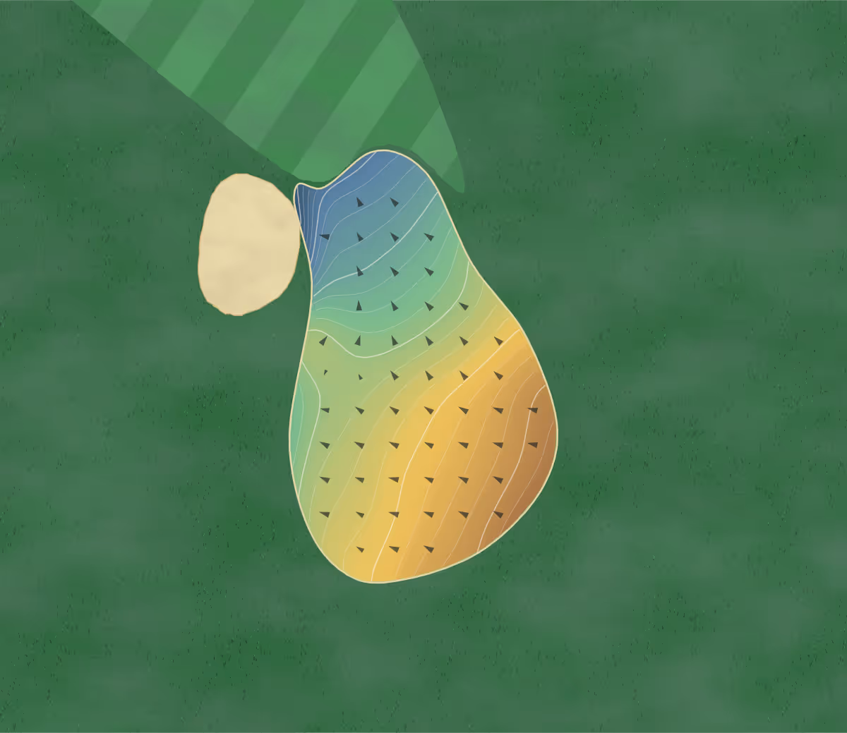 Green contour map of Cullasaja Club in Highlands, North Carolina: 218 elevation contours at a 3-inch interval with fall-line arrows, traced from 1-meter lidar