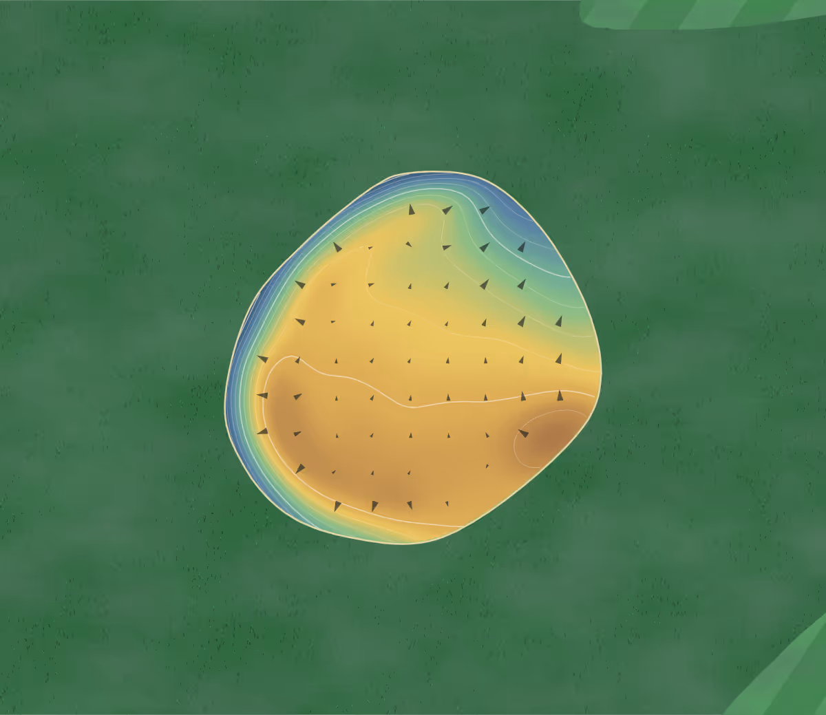 Green contour map of Culver Lake in Frankford, New Jersey: 37 elevation contours at a 3-inch interval with fall-line arrows, traced from 1-meter lidar