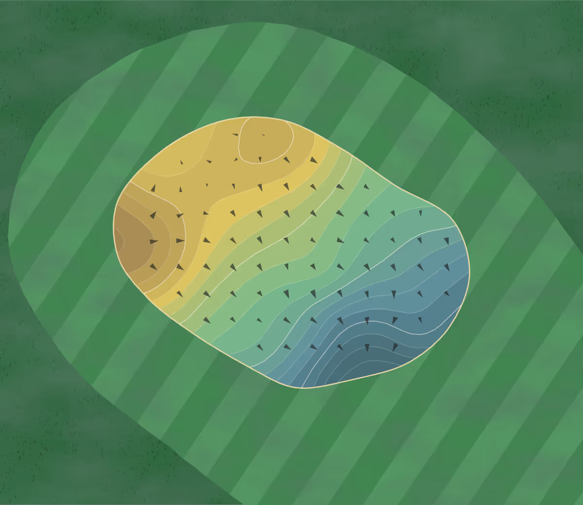 Green contour map of Cuscowilla in Eatonton, Georgia — 238 elevation contours at a 3-inch interval with fall-line arrows, traced from 1-meter lidar