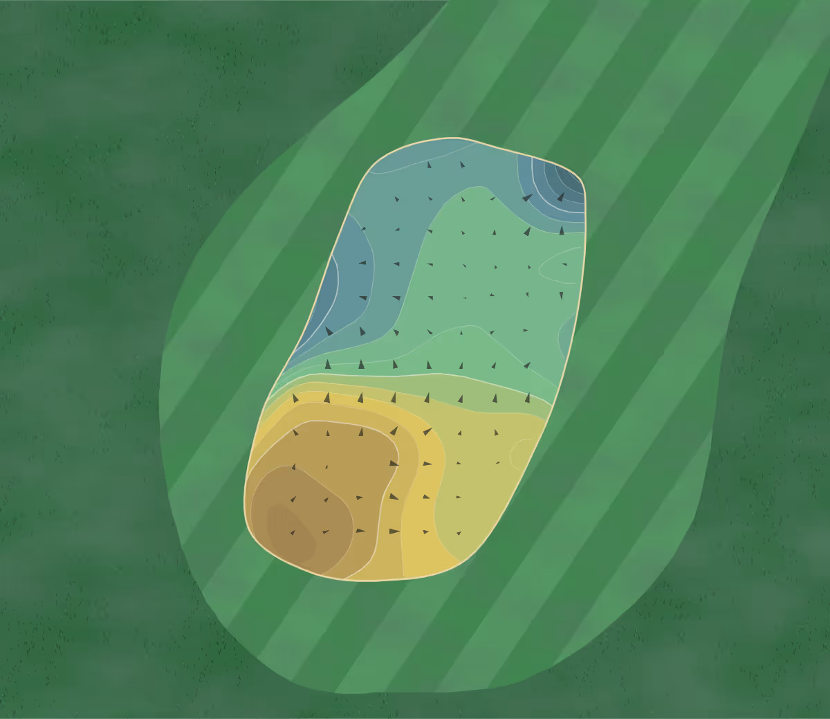 Green contour map of Cypress Knoll in Palm Coast, Florida — 151 elevation contours at a 3-inch interval with fall-line arrows, traced from 1-meter lidar