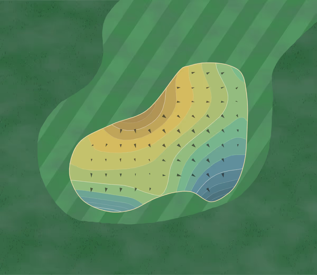 Green contour map of Dairy Creek in San Luis Obispo, California — 231 elevation contours at a 3-inch interval with fall-line arrows, traced from 1-meter lidar