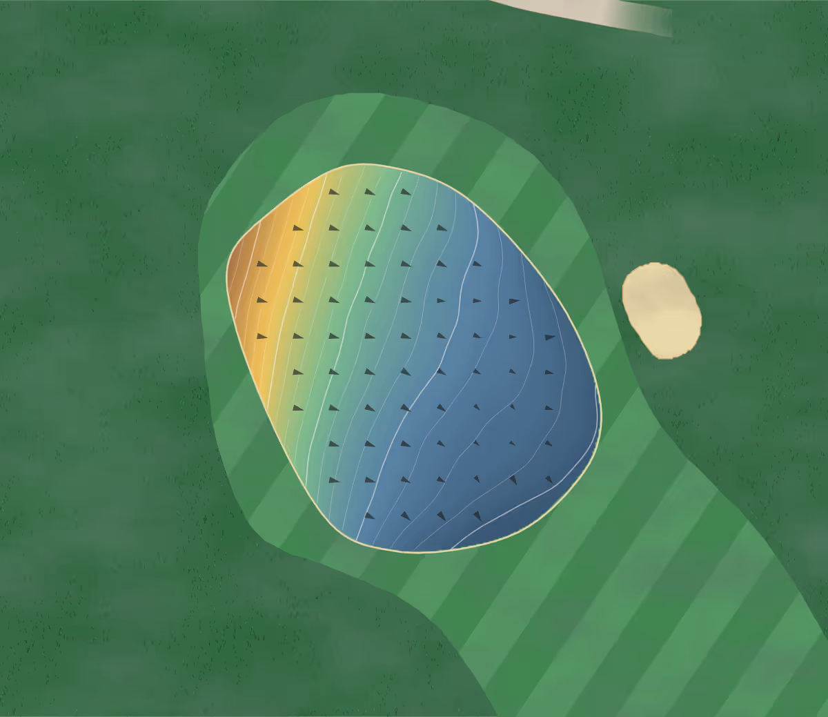 Green contour map of Dannevirke in Dannevirke, New Zealand — 138 elevation contours at a 8-centimeter interval with fall-line arrows, traced from 1-meter lidar