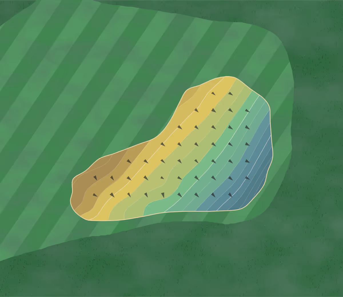 Green contour map of Daufuskie Island (Melrose) in Saint Helena Island, South Carolina — 255 elevation contours at a 3-inch interval with fall-line arrows, traced from 1-meter lidar