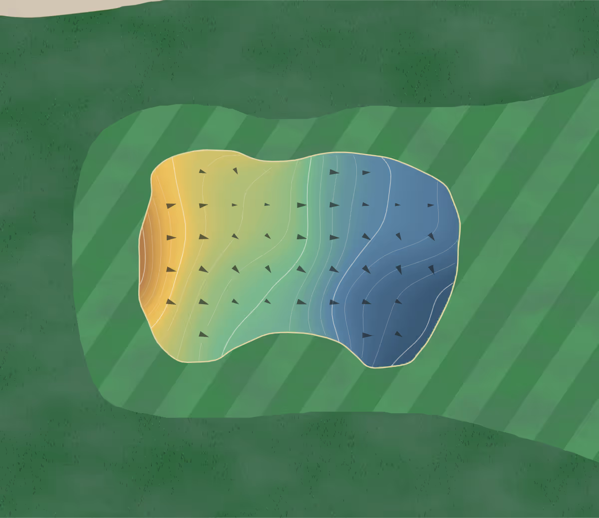 Green contour map of Dead Horse Lake in Rockwood, Tennessee — 185 elevation contours at a 3-inch interval with fall-line arrows, traced from 1-meter lidar