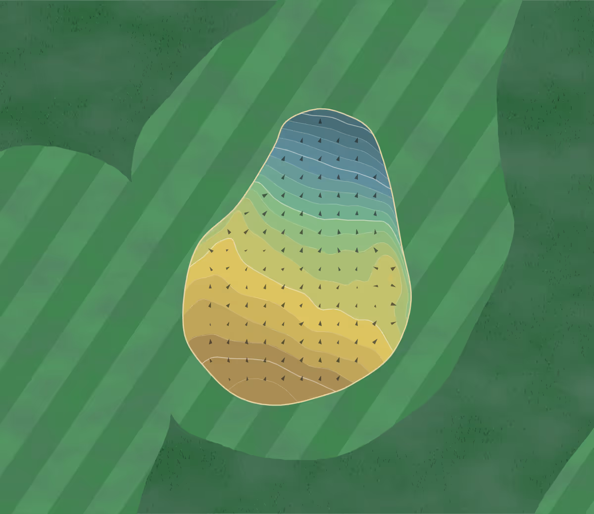 Green contour map of Dean Wood in Up Holland, England — 174 elevation contours at a 8-centimeter interval with fall-line arrows, traced from 1-meter lidar