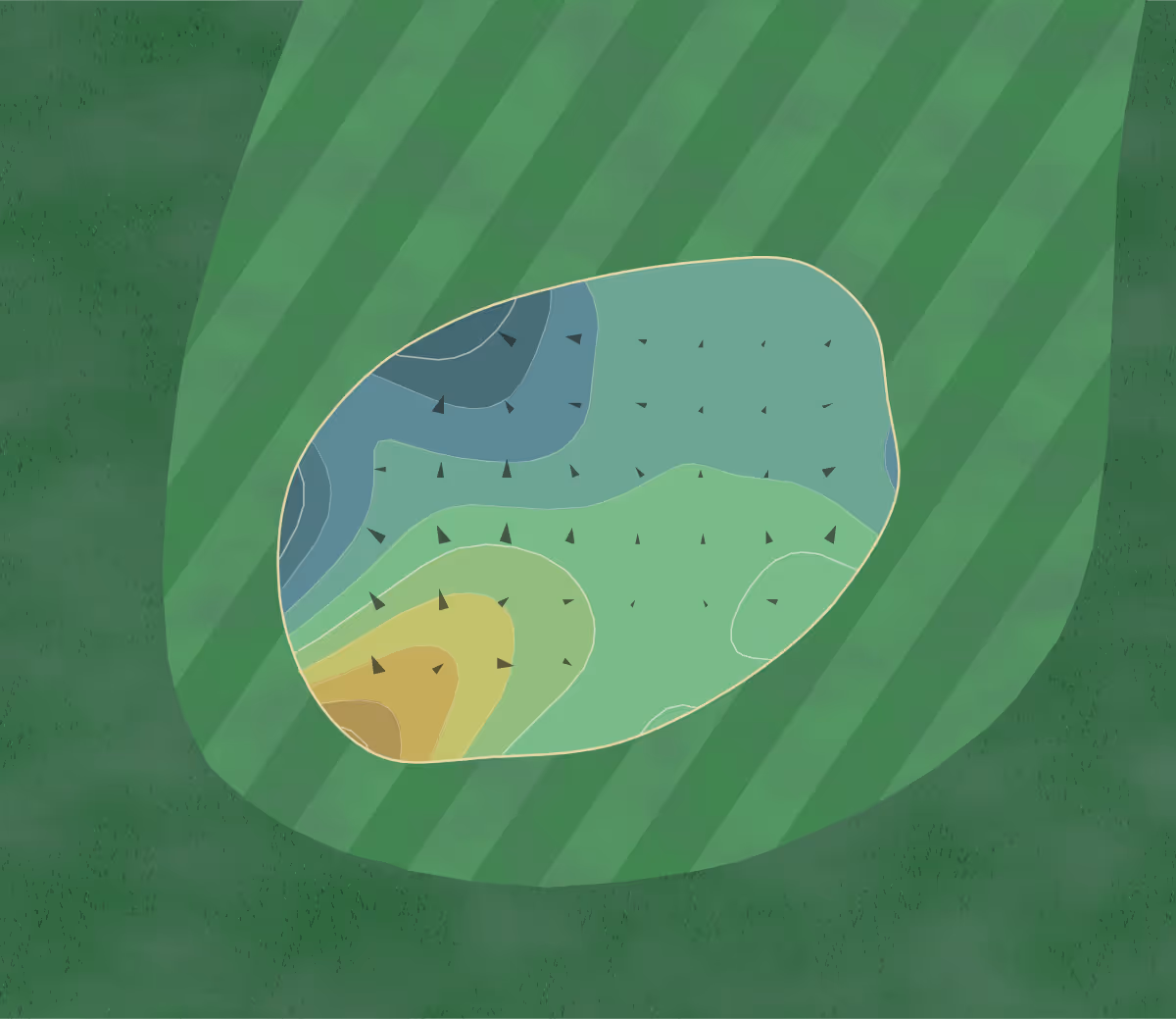 Green contour map of Debary CC in DeBary, Florida — 173 elevation contours at a 3-inch interval with fall-line arrows, traced from 1-meter lidar