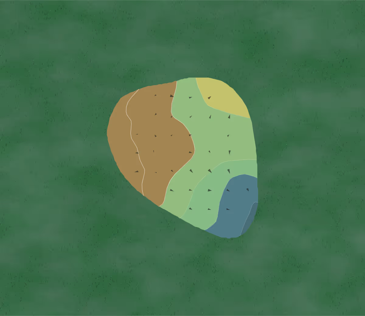Green contour map of DeBordieu in Georgetown, South Carolina — 4 elevation contours at a 3-inch interval with fall-line arrows, traced from 1-meter lidar