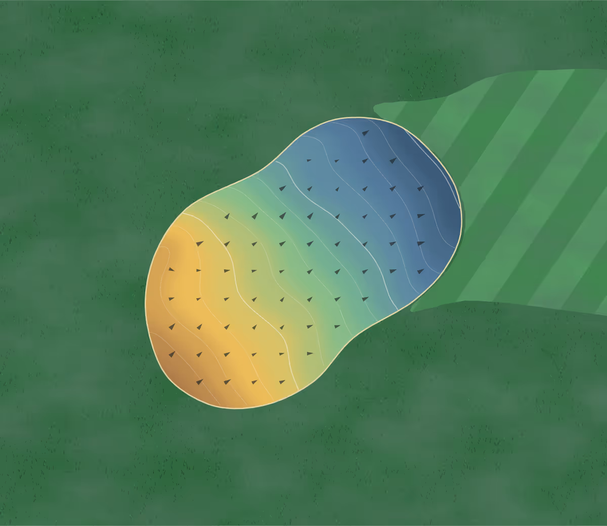 Green contour map of Decatur CC in Decatur, Alabama: 115 elevation contours at a 3-inch interval with fall-line arrows, traced from 1-meter lidar