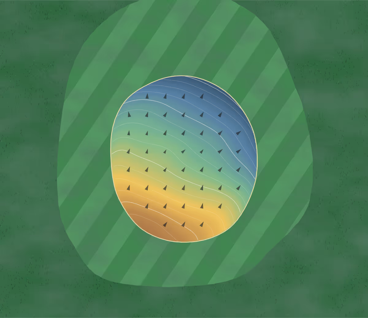 Green contour map of Decatur GC in Decatur, Texas: 82 elevation contours at a 3-inch interval with fall-line arrows, traced from 1-meter lidar
