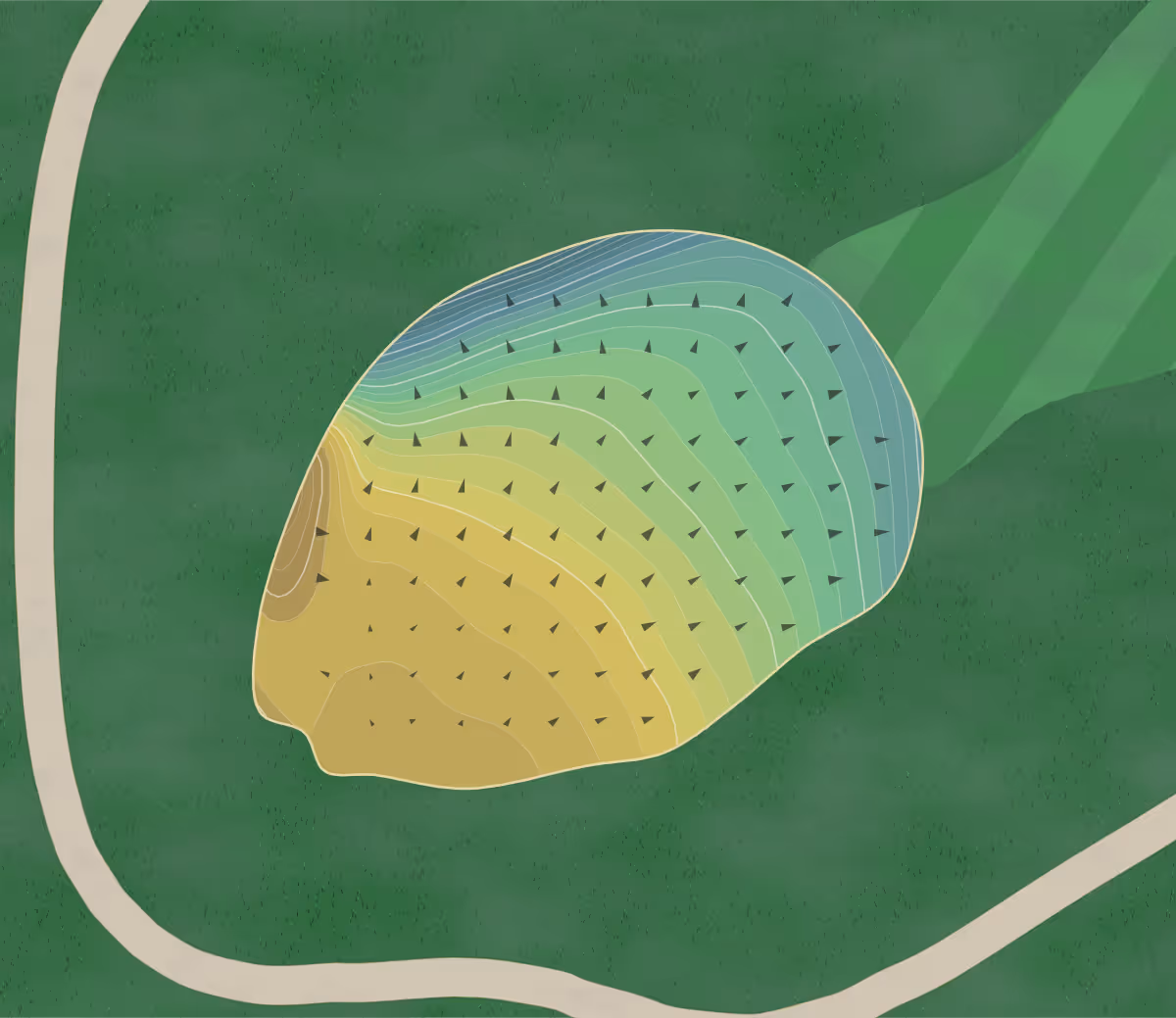 Green contour map of Deer Run in Victoria, Minnesota — 213 elevation contours at a 3-inch interval with fall-line arrows, traced from 1-meter lidar