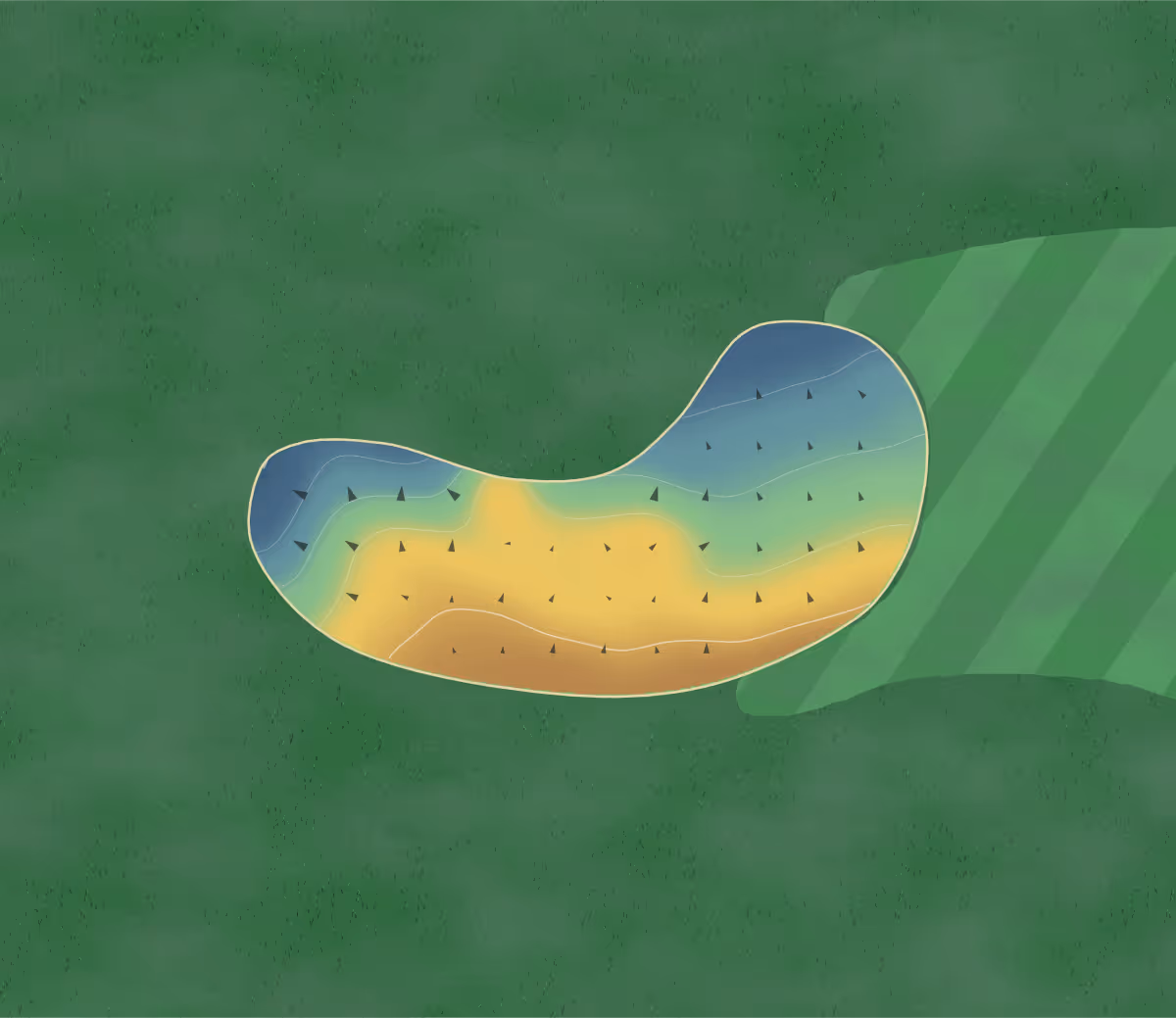 Green contour map of Deer Run in Little Britain, Canada: 5 elevation contours at a 8-centimeter interval with fall-line arrows, traced from 1-meter lidar