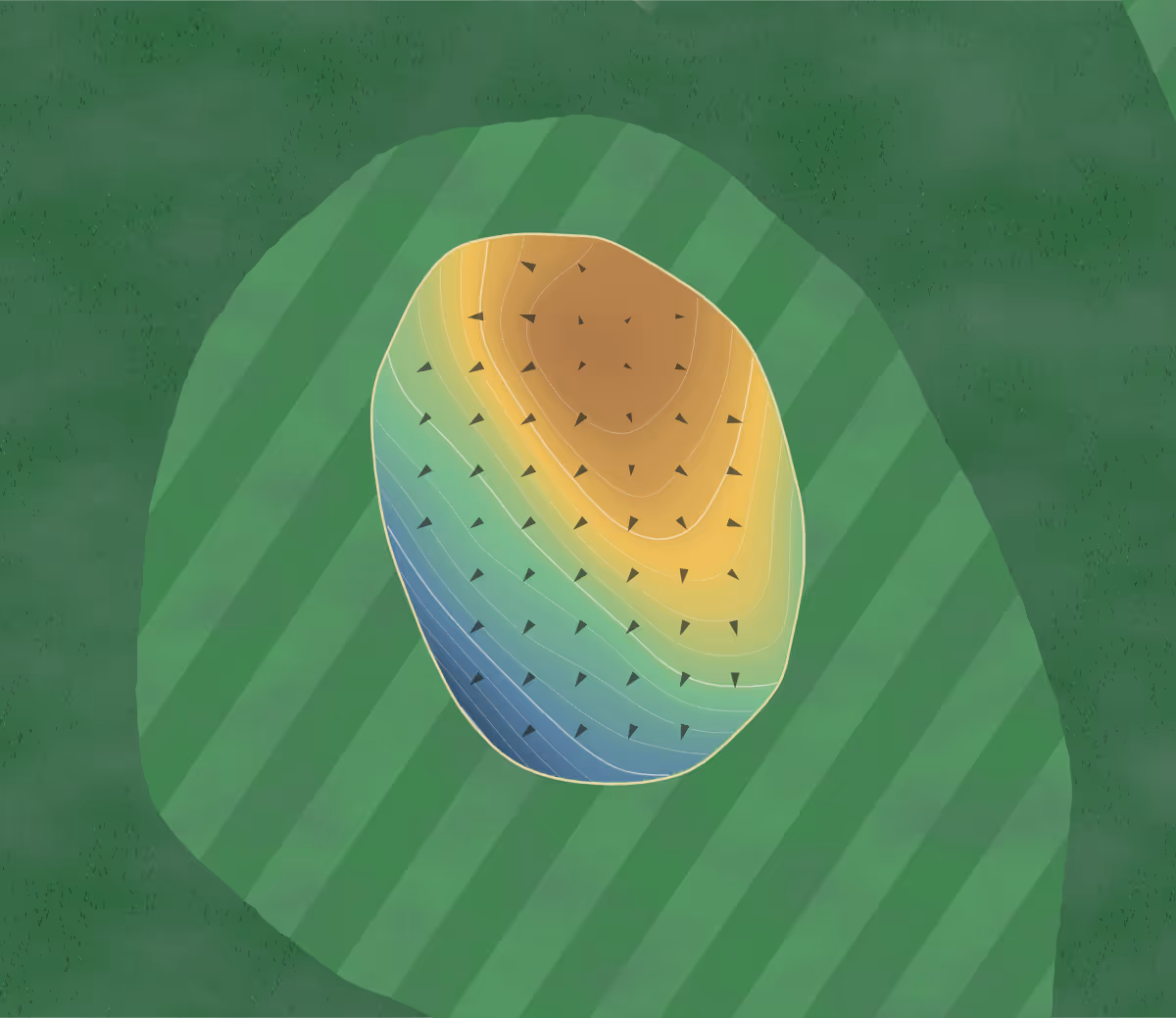 Green contour map of Deer Valley in Amity, Indiana: 83 elevation contours at a 3-inch interval with fall-line arrows, traced from 1-meter lidar