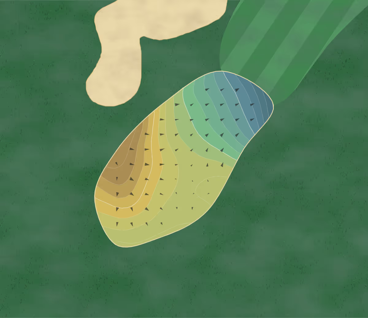 Green contour map of Deerpath in Lake Forest, Illinois — 188 elevation contours at a 3-inch interval with fall-line arrows, traced from 1-meter lidar