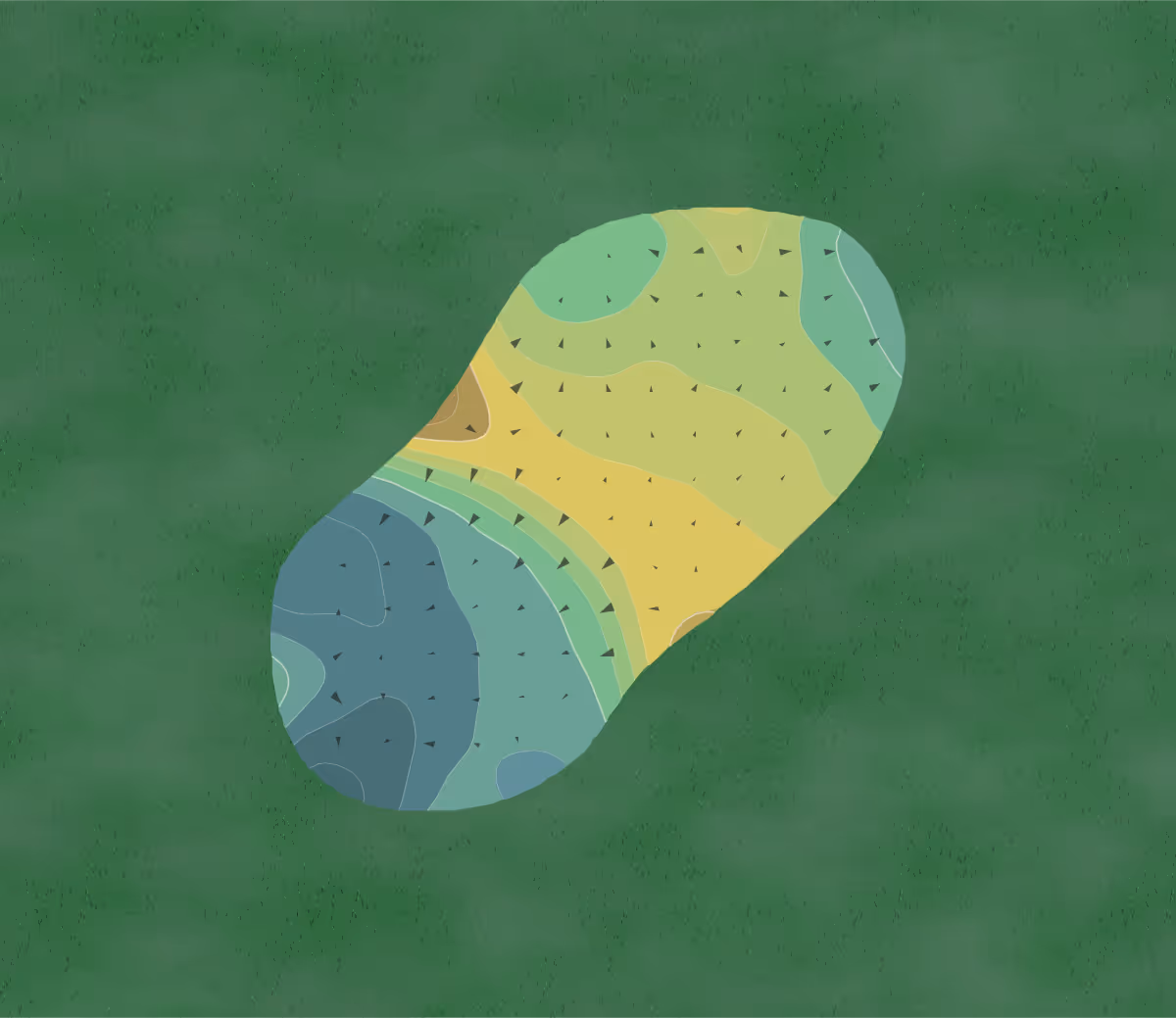 Green contour map of Deerwood Country Club in Mount Holly, New Jersey — 186 elevation contours at a 3-inch interval with fall-line arrows, traced from 1-meter lidar