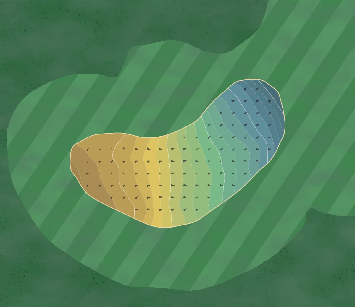 Green contour map of Delapre Golf in Northampton, England — 171 elevation contours at a 8-centimeter interval with fall-line arrows, traced from 1-meter lidar