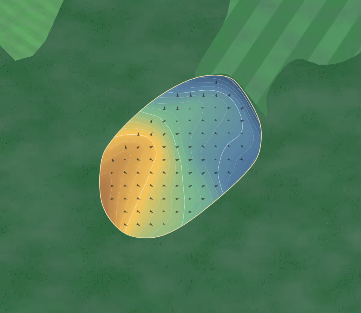 Green contour map of Denbigh in Denbigh, Wales: 84 elevation contours at a 8-centimeter interval with fall-line arrows, traced from 1-meter lidar