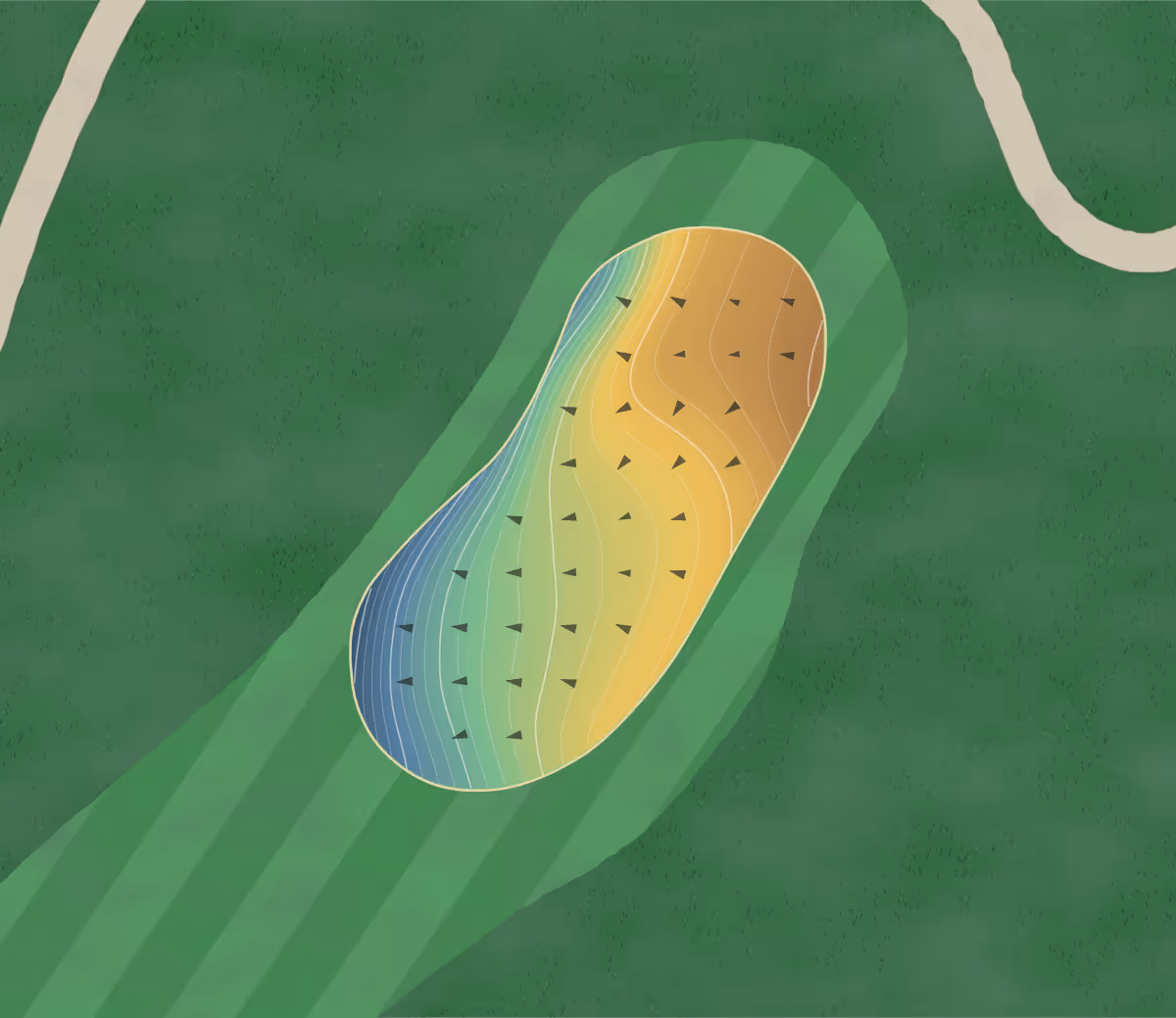 Green contour map of Denton in Argyle, Texas: 273 elevation contours at a 3-inch interval with fall-line arrows, traced from 1-meter lidar