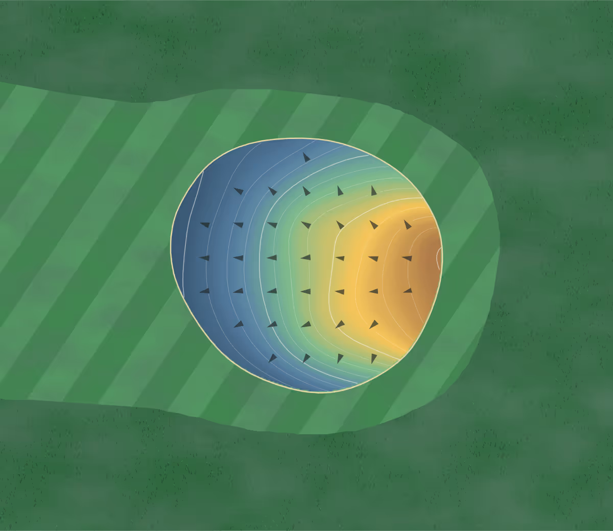 Green contour map of Desert Sands in Fountain Hills, Arizona: 167 elevation contours at a 3-inch interval with fall-line arrows, traced from 1-meter lidar