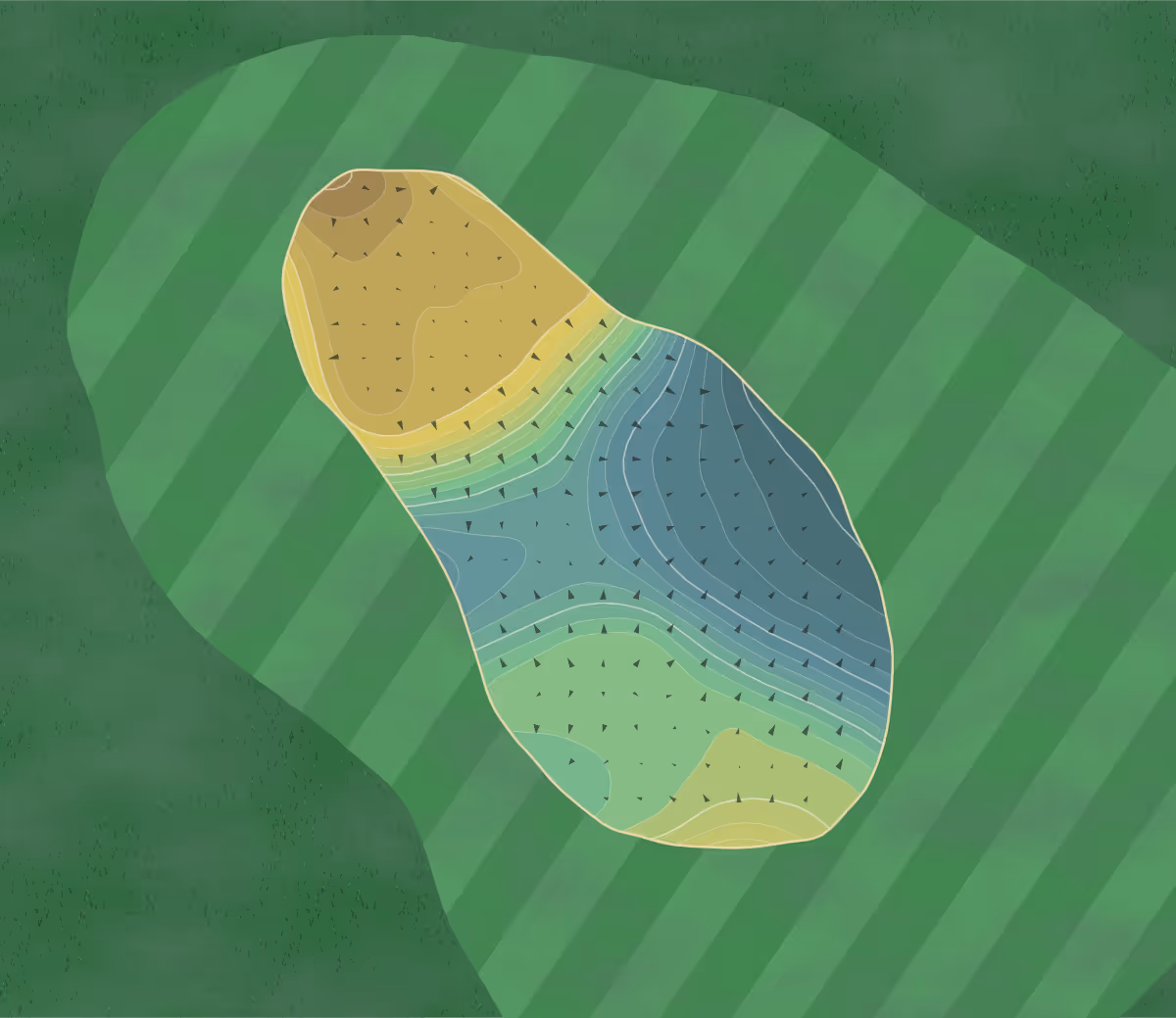 Green contour map of Diamond Springs in Hamilton, Michigan — 318 elevation contours at a 3-inch interval with fall-line arrows, traced from 1-meter lidar
