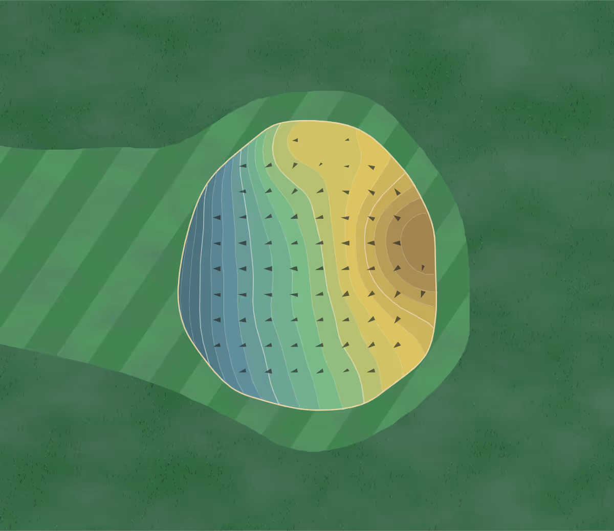 Green contour map of Dinsmore GC in Staatsburg, New York — 188 elevation contours at a 3-inch interval with fall-line arrows, traced from 1-meter lidar