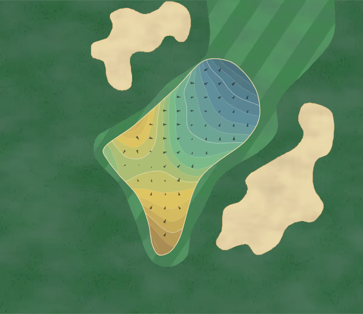 Green contour map of Dolphin Head in Hilton Head Island, South Carolina — 242 elevation contours at a 3-inch interval with fall-line arrows, traced from 1-meter lidar