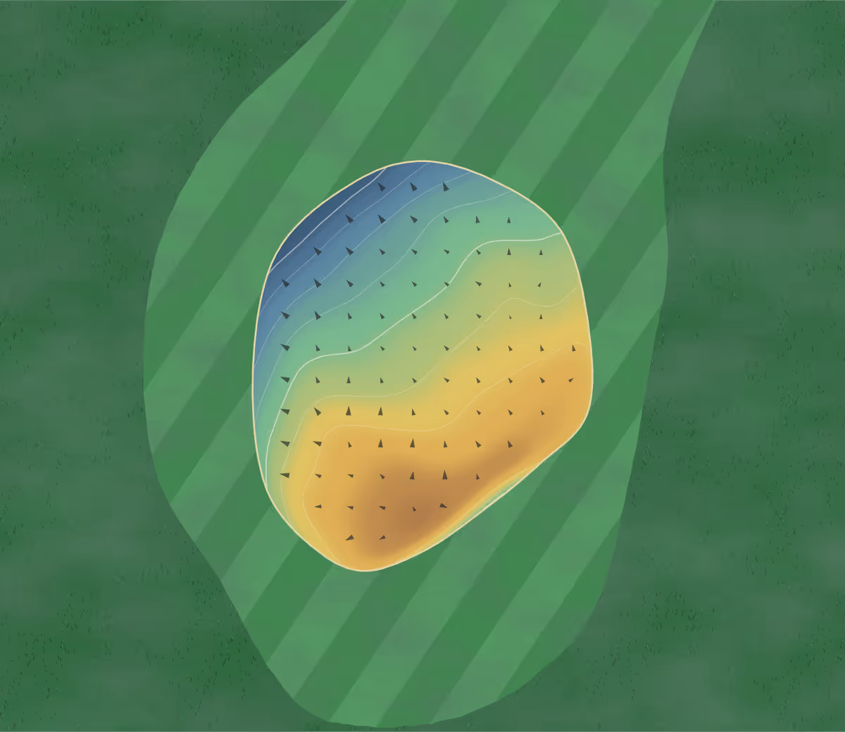 Green contour map of Domaine du Golf Saint in Limoges, France — 109 elevation contours at a 8-centimeter interval with fall-line arrows, traced from 1-meter lidar
