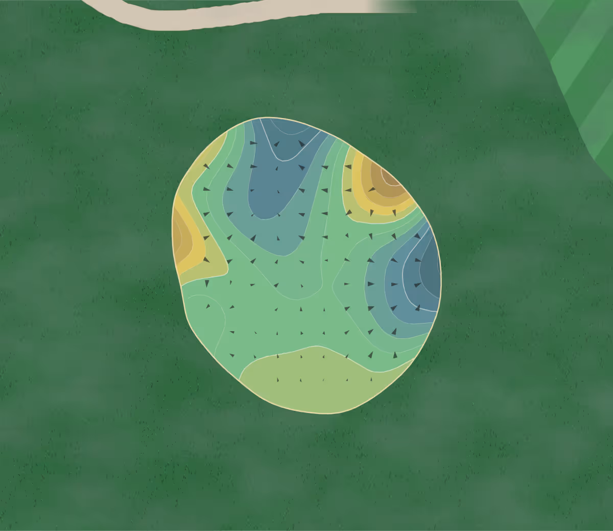 Green contour map of Donald Ross Memorial in Harbor Springs, Michigan — 207 elevation contours at a 3-inch interval with fall-line arrows, traced from 1-meter lidar