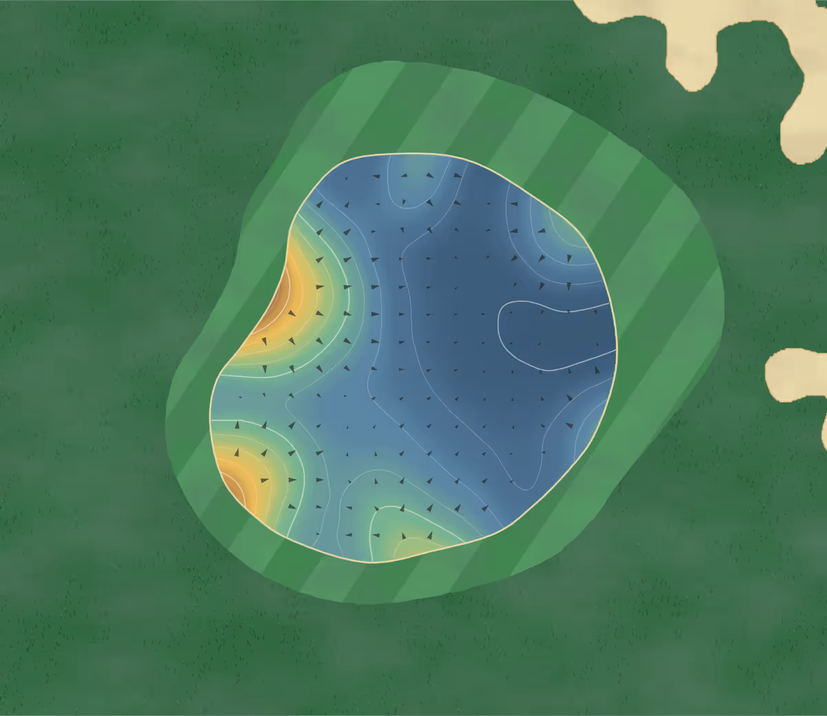 Green contour map of Dorset in Wareham, England — 165 elevation contours at a 8-centimeter interval with fall-line arrows, traced from 1-meter lidar