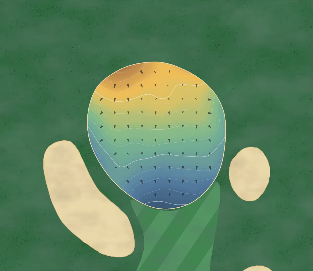 Green contour map of Douglass in Indianapolis, Indiana: 81 elevation contours at a 3-inch interval with fall-line arrows, traced from 1-meter lidar