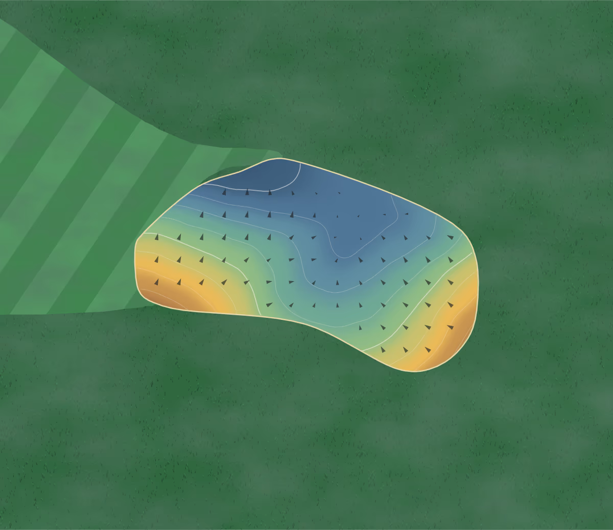 Green contour map of Down Royal in Lisburn, Northern Ireland: 80 elevation contours at a 8-centimeter interval with fall-line arrows, traced from 1-meter lidar