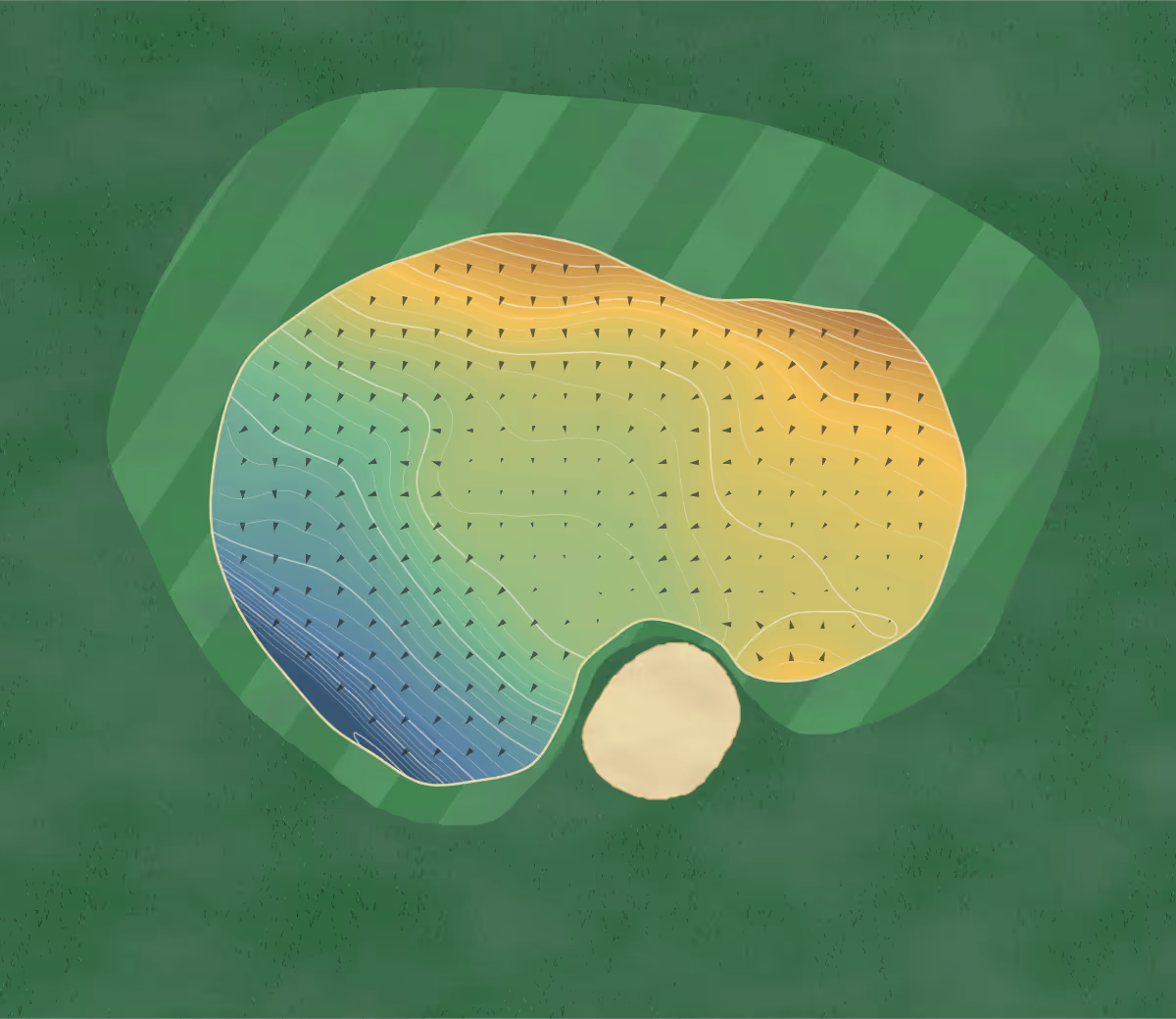 Green contour map of Downfield in Dundee, United Kingdom — 246 elevation contours at a 8-centimeter interval with fall-line arrows, traced from 1-meter lidar