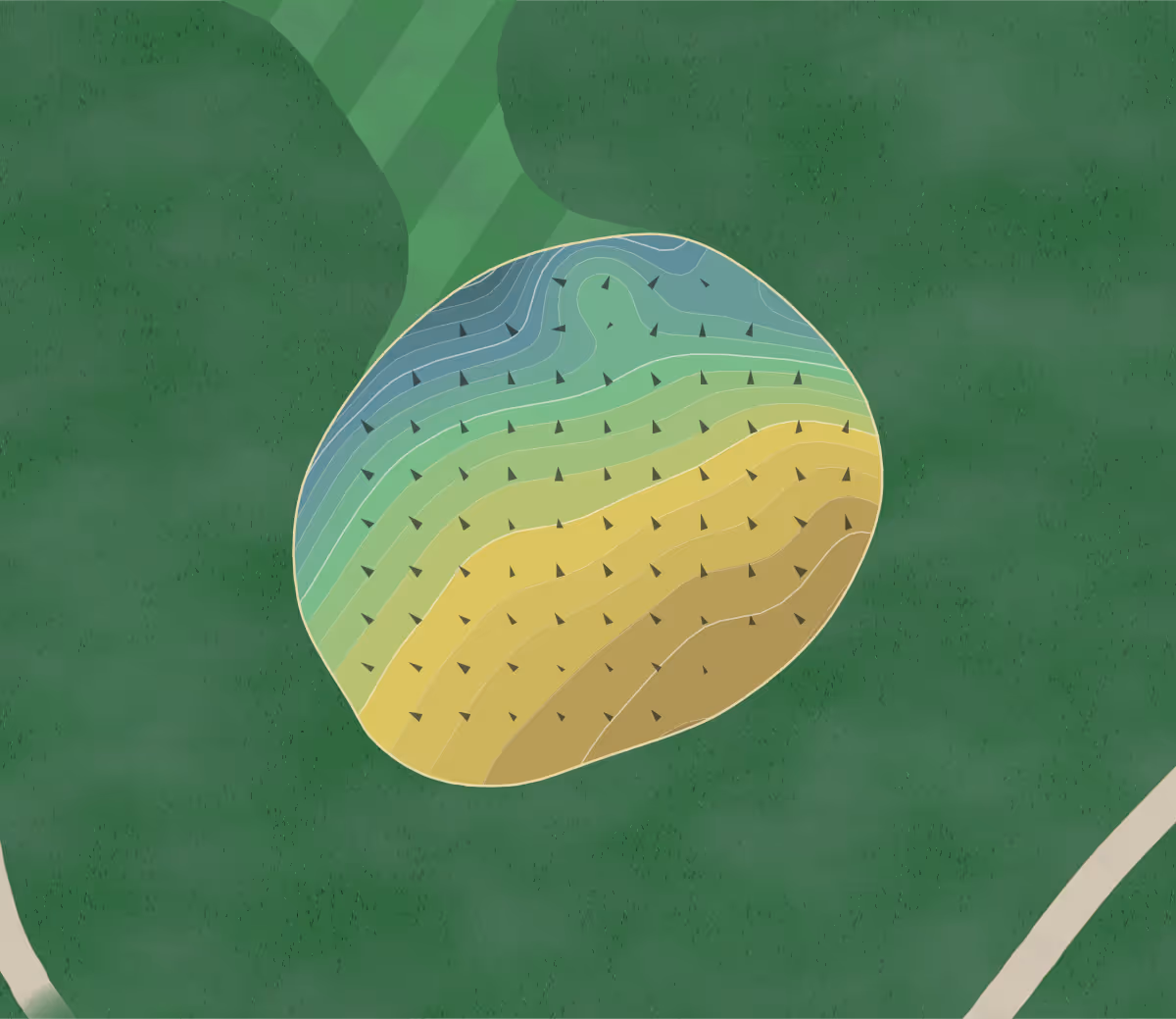 Green contour map of Drugan's in Holmen, Wisconsin — 168 elevation contours at a 3-inch interval with fall-line arrows, traced from 1-meter lidar