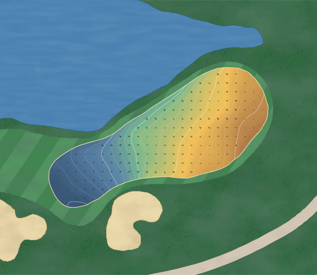 Green contour map of Druid's Glen in Black Diamond, Washington — 172 elevation contours at a 3-inch interval with fall-line arrows, traced from 1-meter lidar