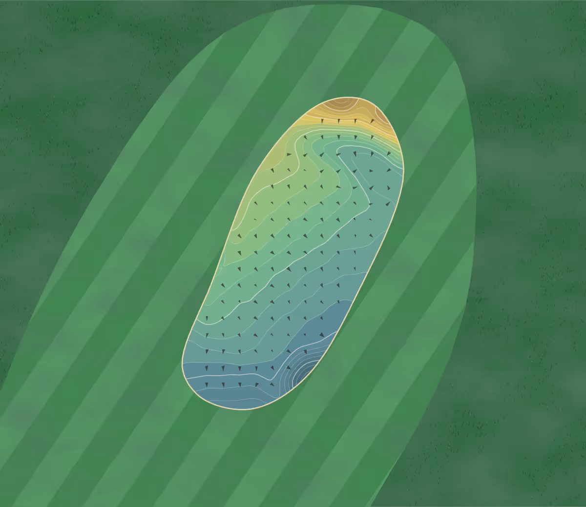 Green contour map of Druids Heath in Walsall, England — 255 elevation contours at a 8-centimeter interval with fall-line arrows, traced from 1-meter lidar