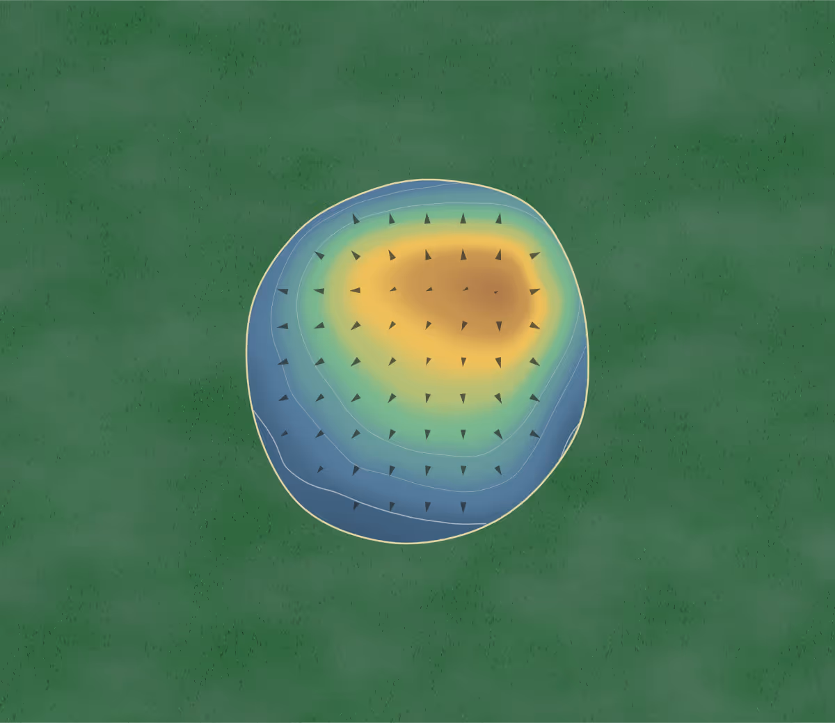 Green contour map of Drummond in Drummond, New Zealand — 39 elevation contours at a 8-centimeter interval with fall-line arrows, traced from 1-meter lidar